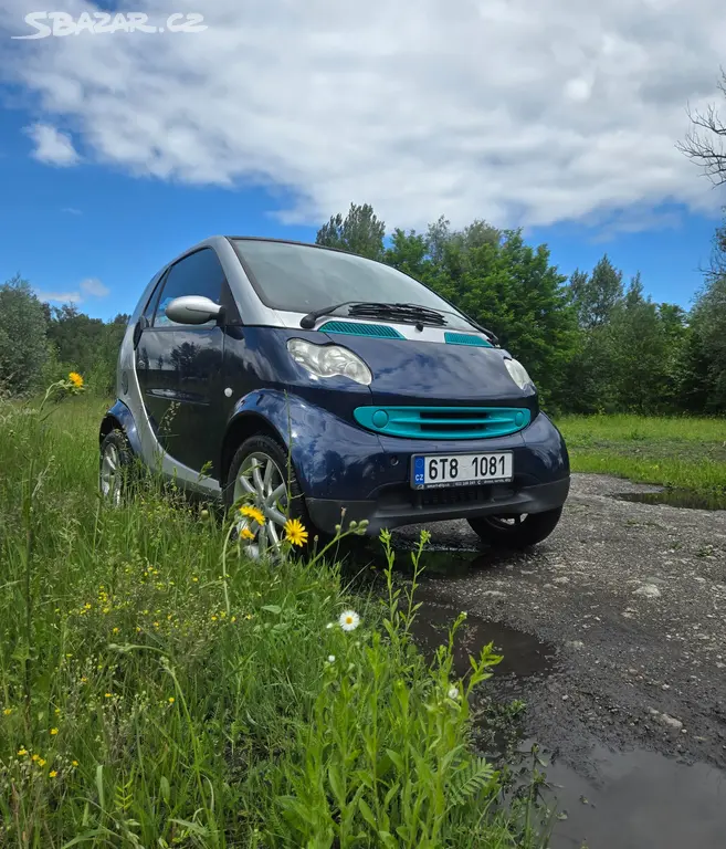 Smart fortwo 0.8 cdi